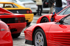 PAで跳ね馬に遭遇