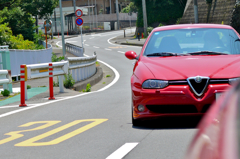 テールトゥノーズ