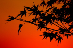 清水寺夕焼け (3)