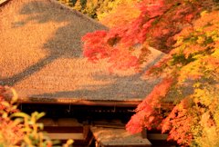 清水寺