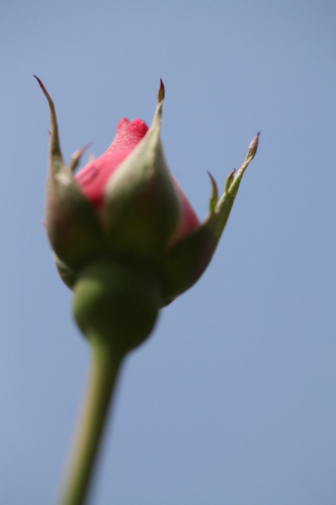 美に向かって