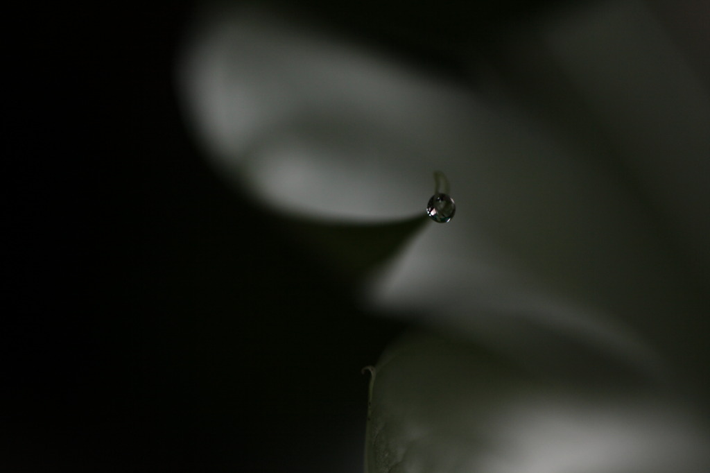 幻想