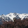 桜越の白山