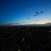 Tokyo twilight