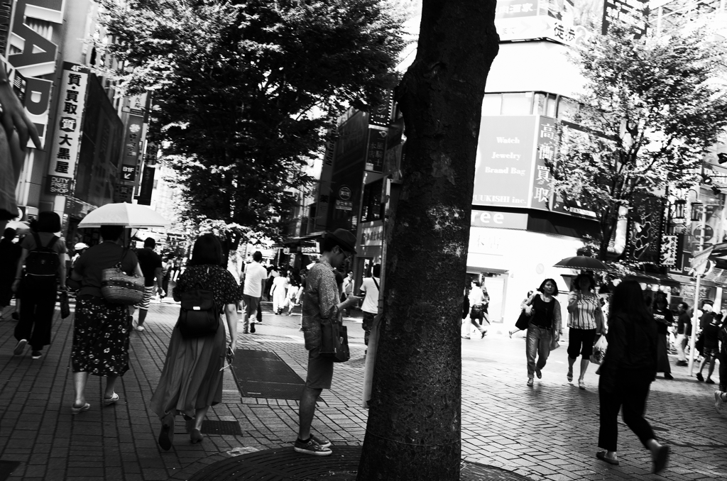 新宿