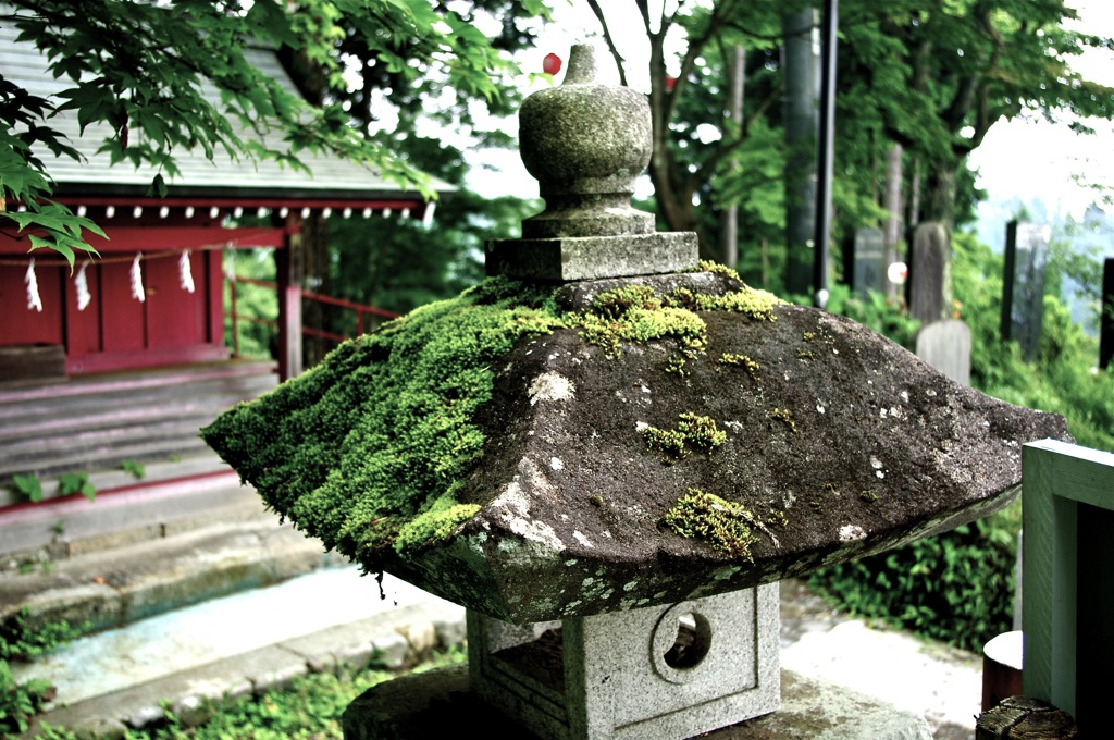 苔むして