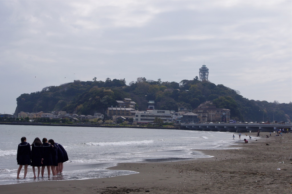 春の江ノ島を臨む