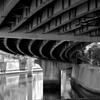 under the bridge