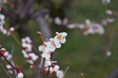 IMGP0167