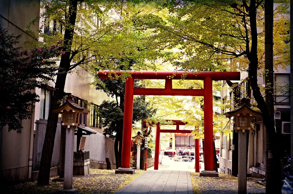 鳥居の向こう