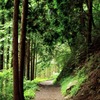 山道