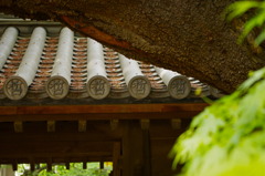 哲学堂の瓦