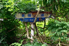 青梅街道です。