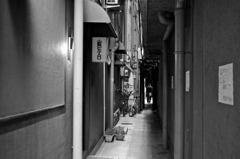 路地