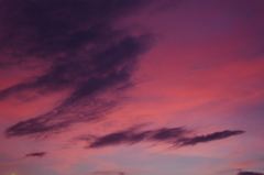 今日の空（From ビアガーデン）