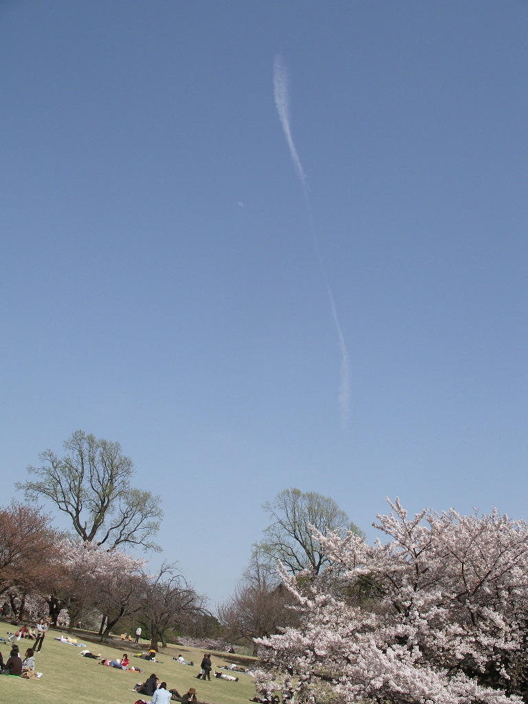 空が高い