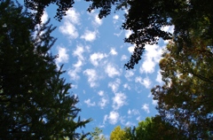 秋の空