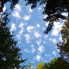 秋の空