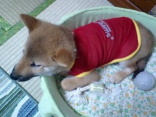 お漏らし息子
