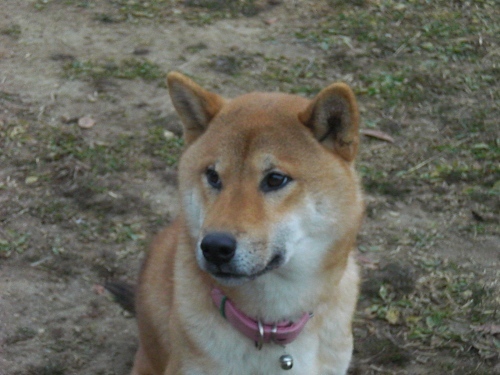 もうそろそろ