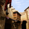 DSC03868