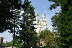 DSC02763