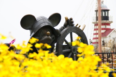 DSC03775