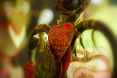 DSC04191
