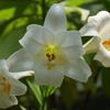 DSC01654