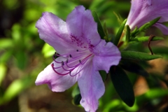 DSC01663