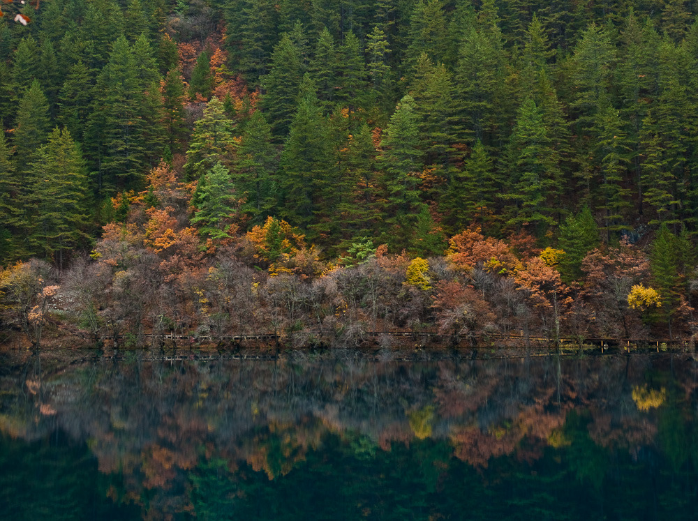 20091004-DSC08078