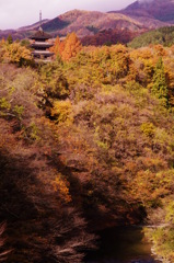 IMGP9676
