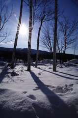 IMGP0227