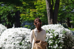 TAKUMAR　F3.5　135（M42アダプター）