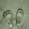 28cm