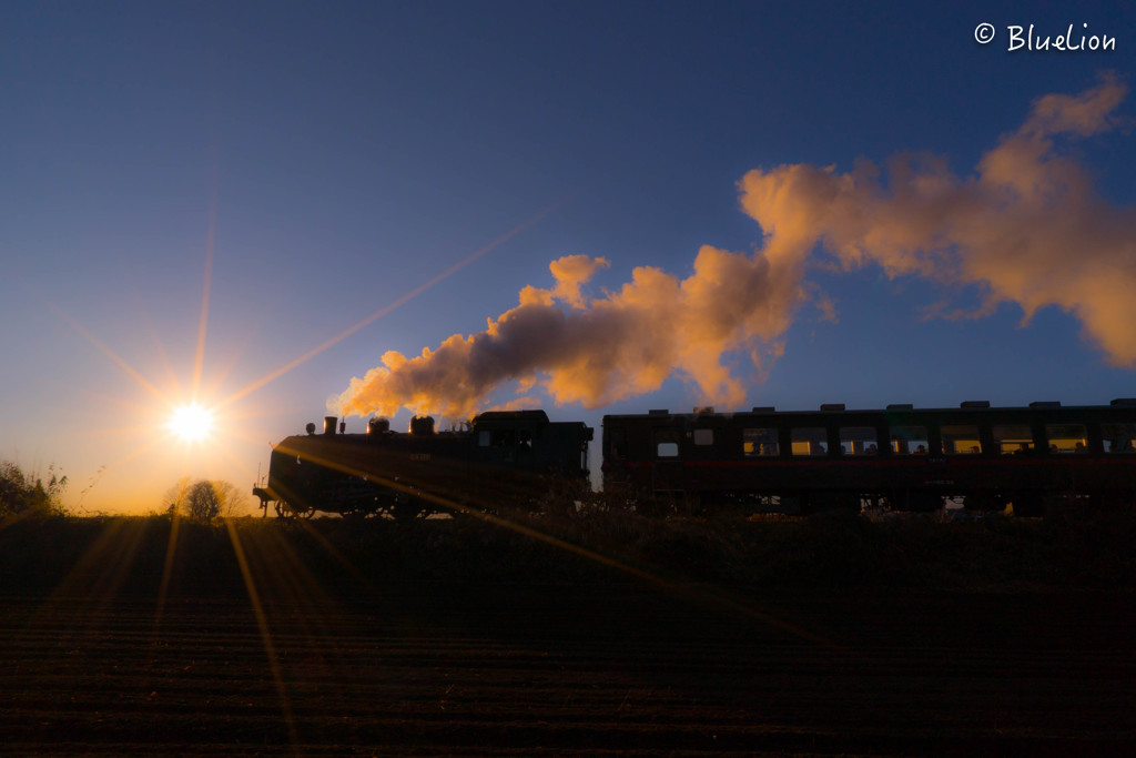 orange steam