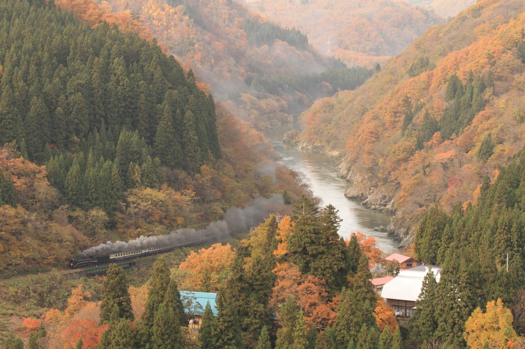 紅葉とS煙