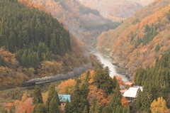 紅葉とS煙