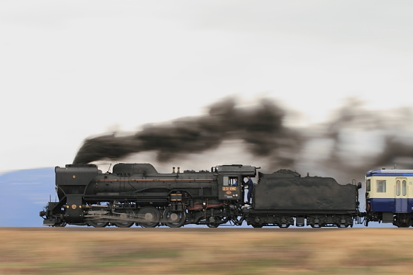 D51試流