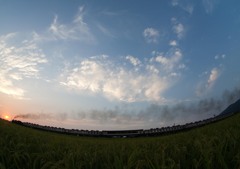 明日へ