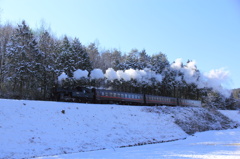 北関東の雪化粧