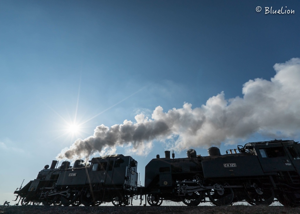 W-steam