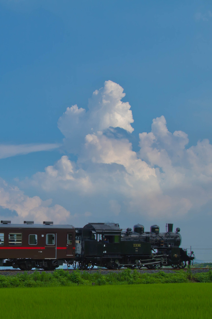 夏雲