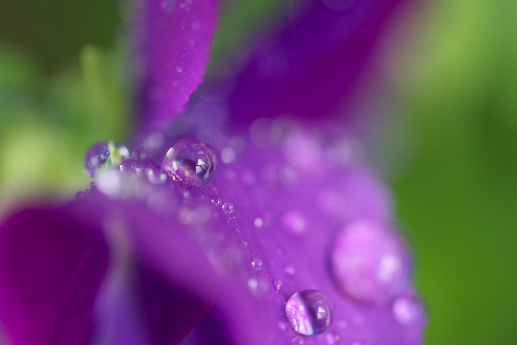 雨