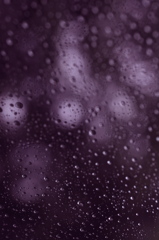 窓雨  
