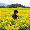 菜の花