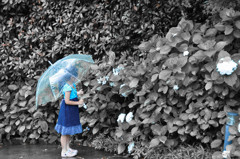 雨色の傘
