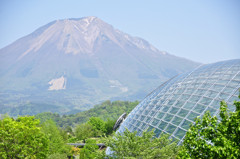 Flower dome