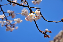 青空