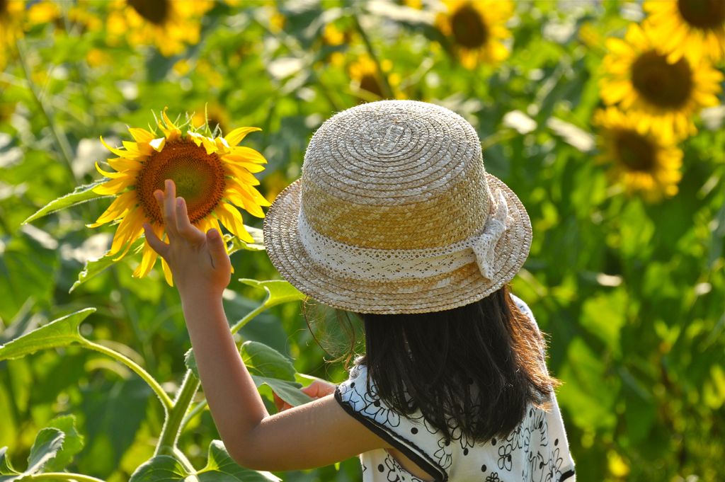 夏 休 み